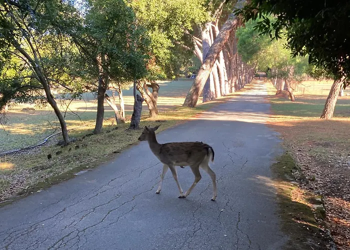 Red Roof Lägenhet *